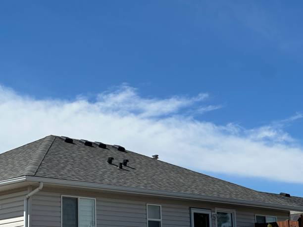 Waterproofing in Birmingham, MI